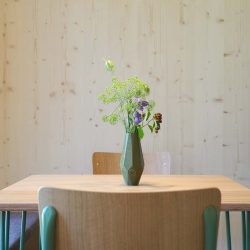 kokon august zus 104